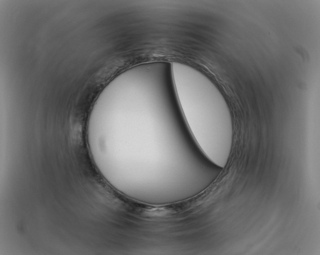 X0000113750269200909231012