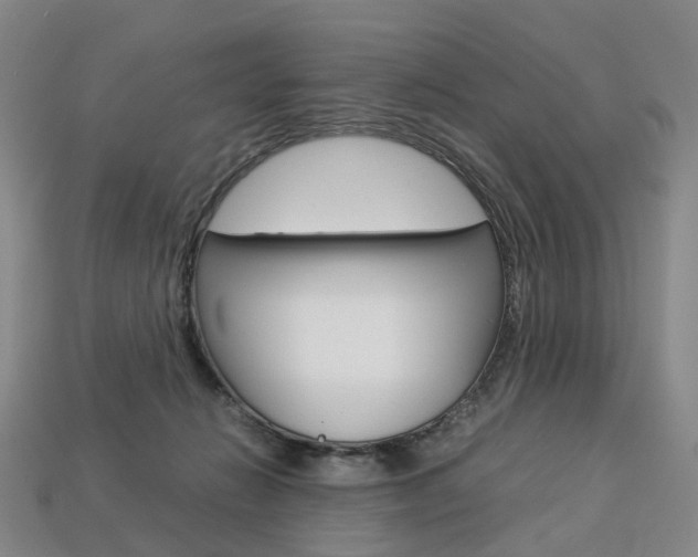 X0000113750270200909231012