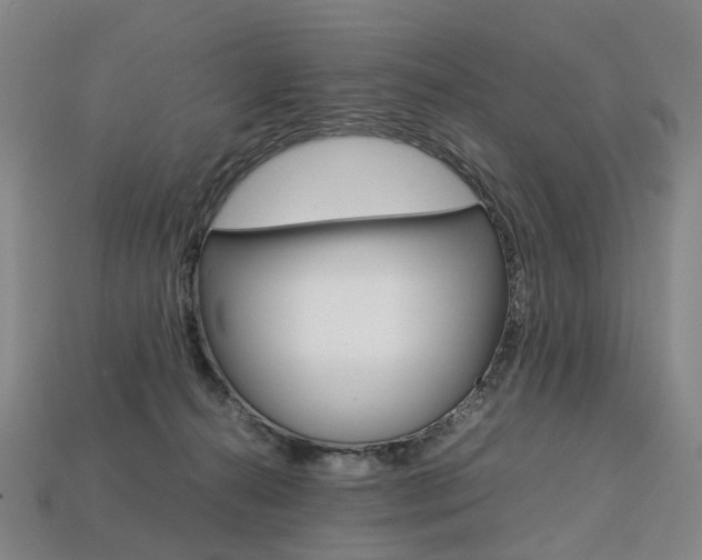 X0000113750272200909231012