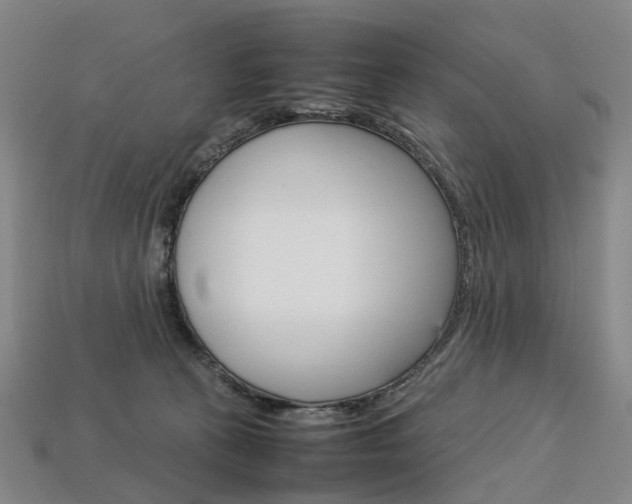 X0000113750273200909231012