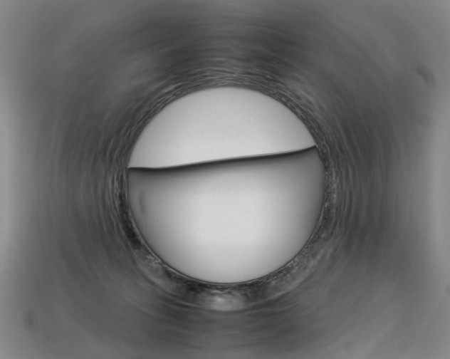 X0000113750275200909231012