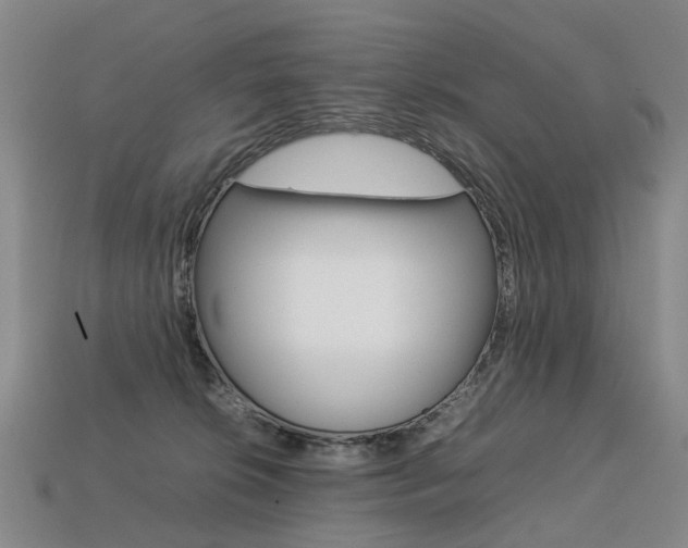 X0000113750276200909231012