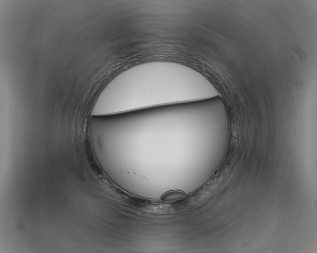 X0000113750278200909231012
