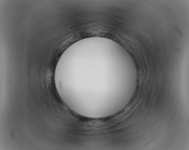 X0000113750279200909231012