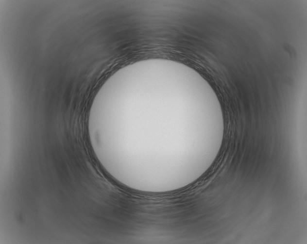 X0000113750280200909231012