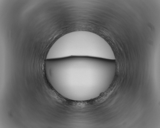 X0000113750282200909231012