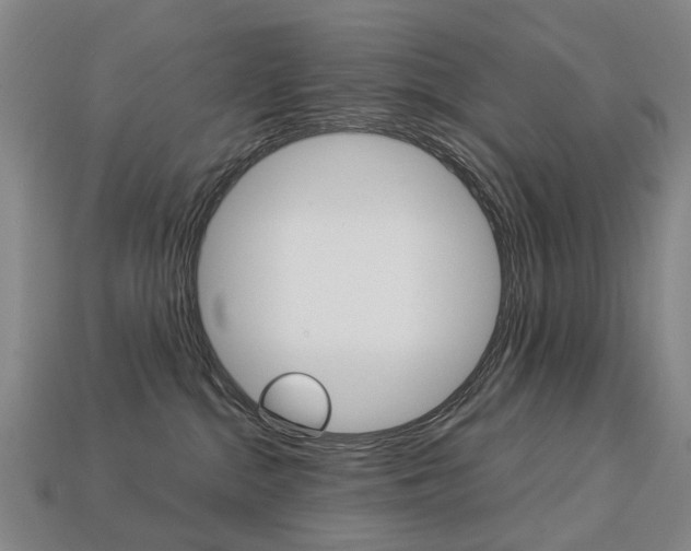 X0000113750284200909231012