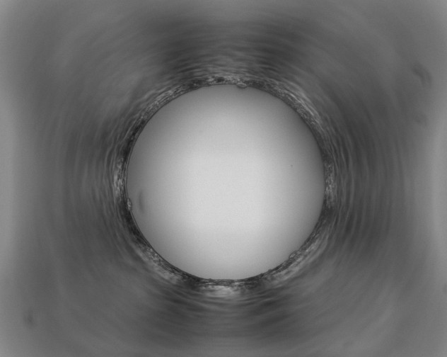 X0000113750285200909231012