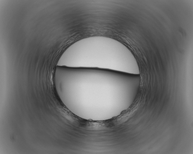 X0000113750286200909231012