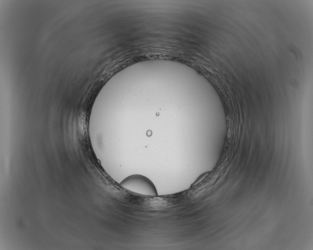 X0000113750287200909231012