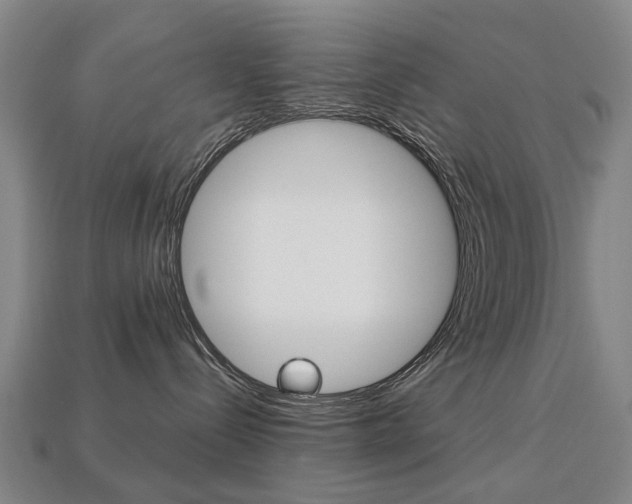 X0000113750288200909231012
