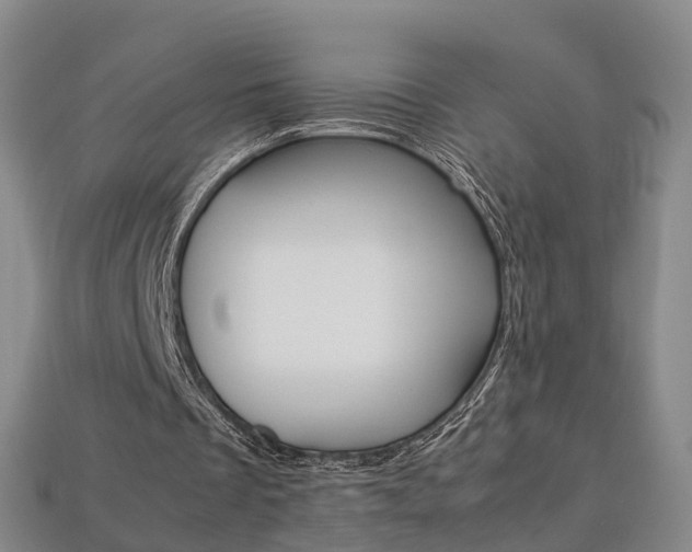 X0000113750289200909231011