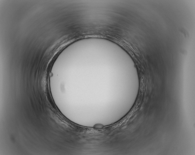 X0000113750290200909231011