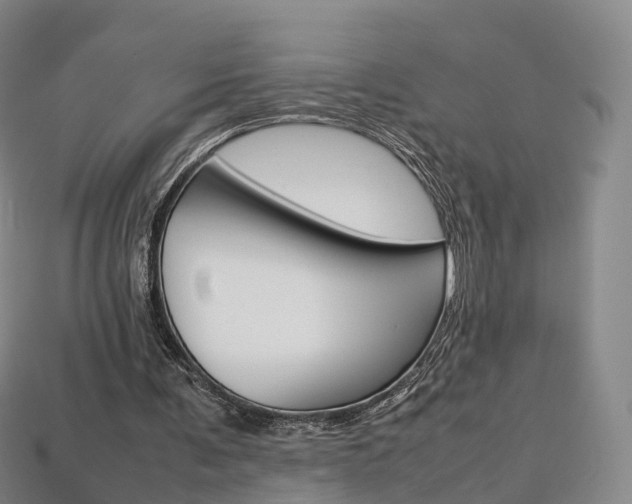 X0000113750291200909231011