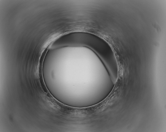 X0000113750292200909231011