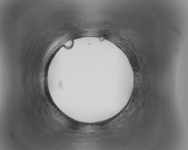 X0000113750293200909231011
