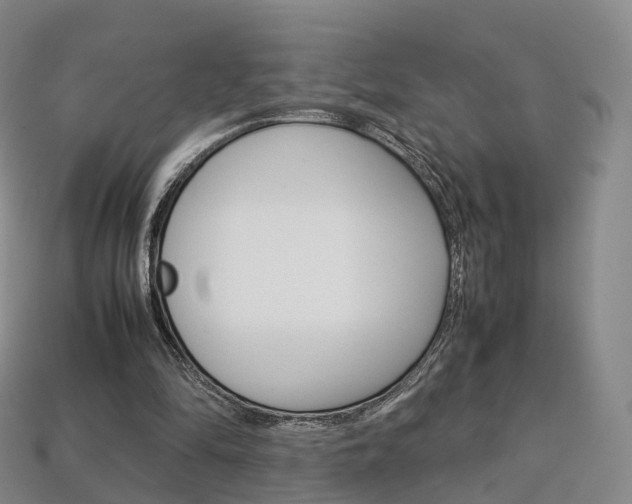X0000113750294200909231011