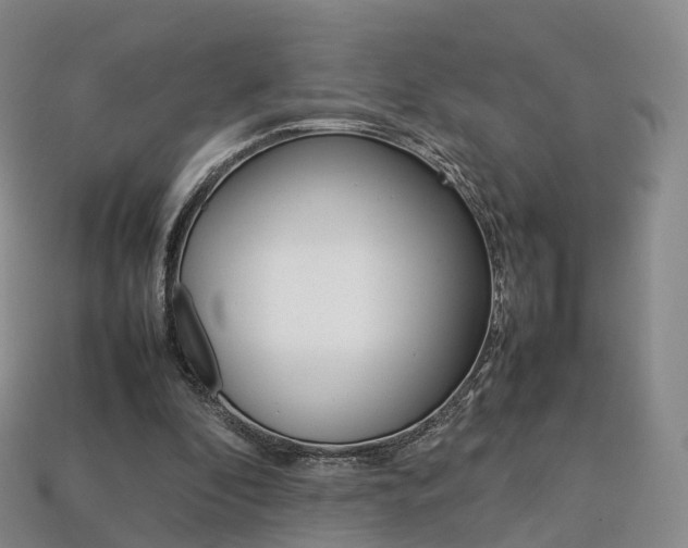 X0000113750296200909231011