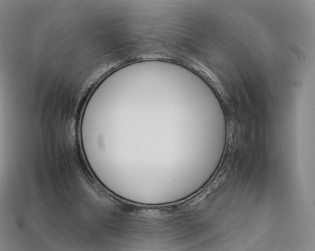 X0000113750298200909231011