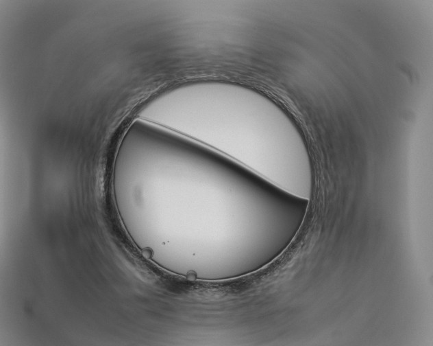 X0000113750299200909231011
