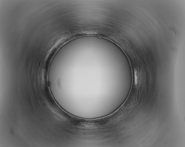 X0000113750300200909231011