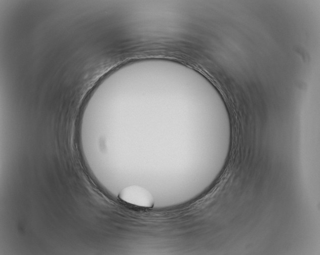 X0000113750301200909231011