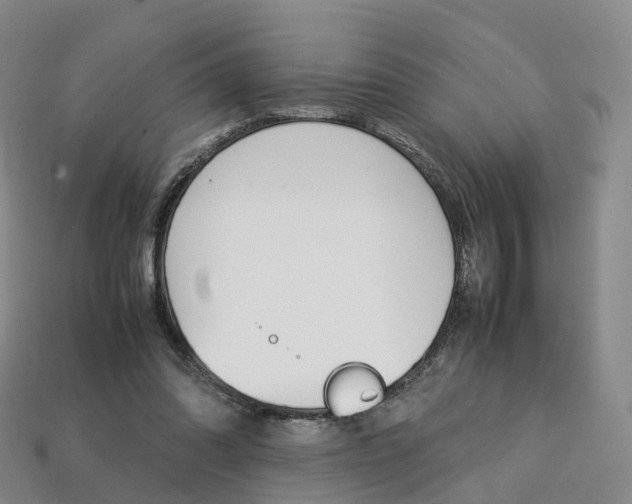 X0000113750302200909231011