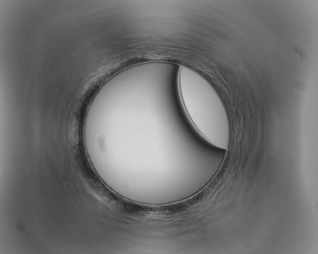 X0000113750303200909231011