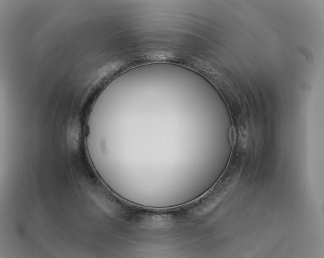 X0000113750304200909231011