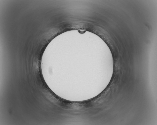 X0000113750305200909231011