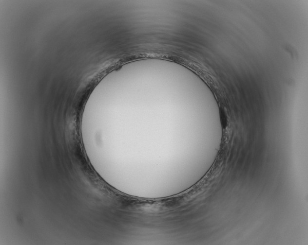 X0000113750306200909231011