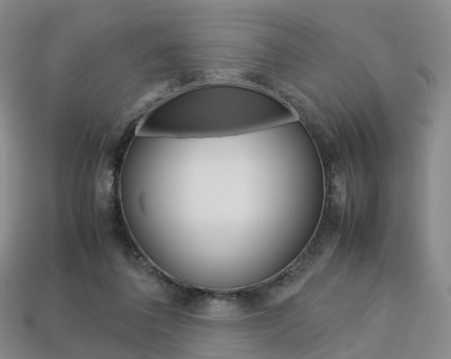X0000113750308200909231011