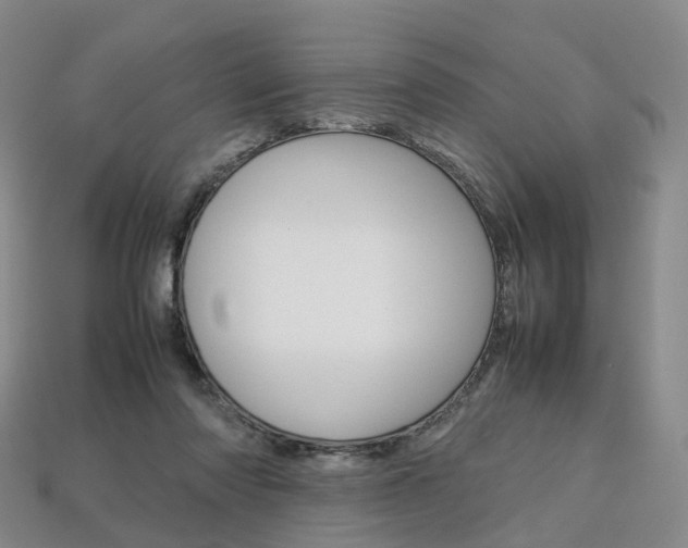 X0000113750310200909231011