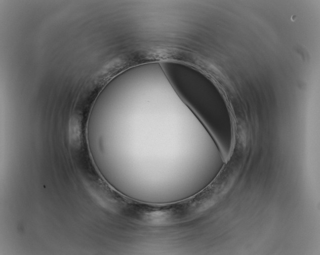 X0000113750312200909231011