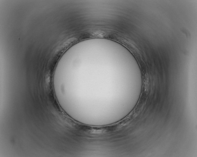 X0000113750314200909231011