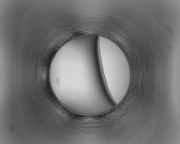 X0000113750315200909231011