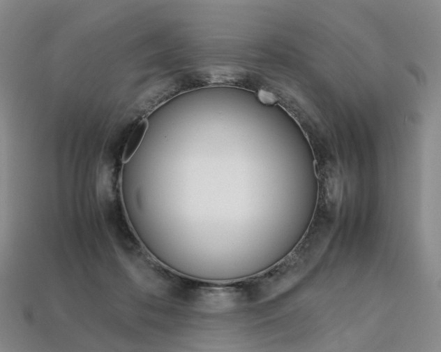 X0000113750316200909231011