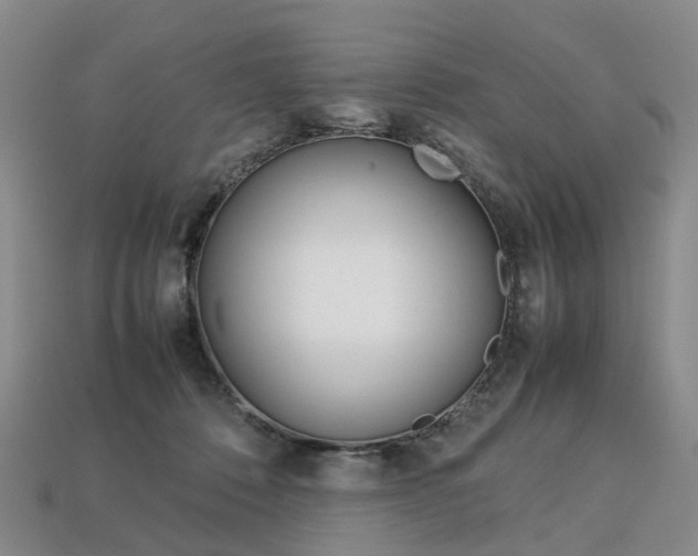 X0000113750320200909231011