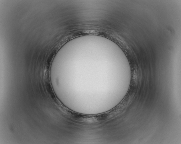 X0000113750322200909231011