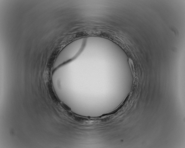 X0000113750323200909231011