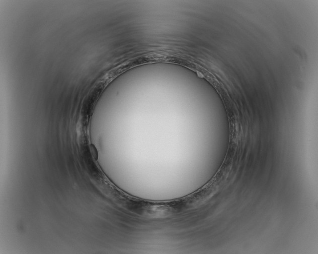 X0000113750324200909231011