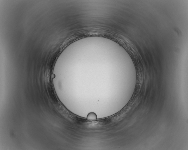 X0000113750326200909231011