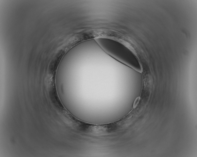 X0000113750327200909231011