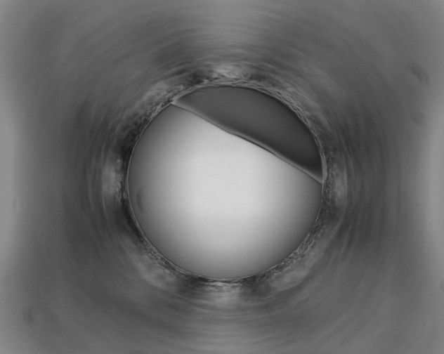 X0000113750328200909231011