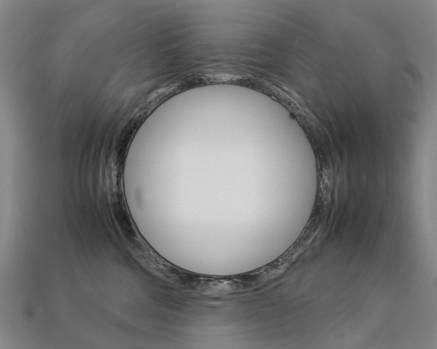 X0000113750330200909231011
