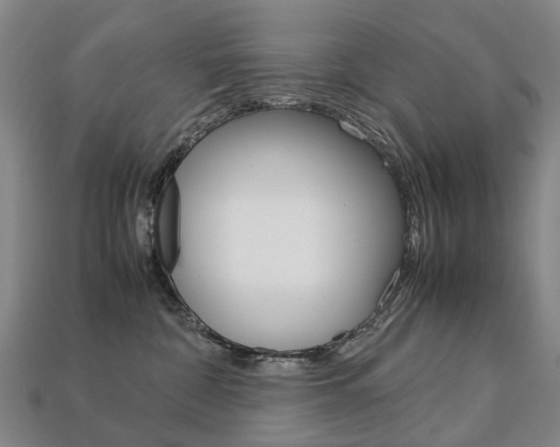 X0000113750332200909231011