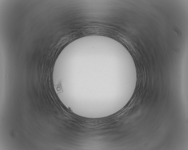 X0000113750333200909231011