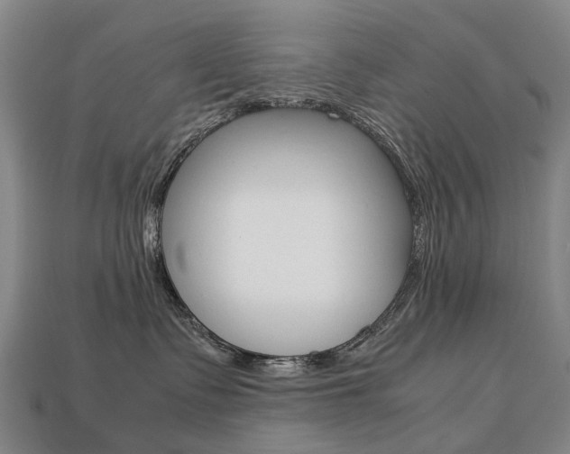 X0000113750335200909231011