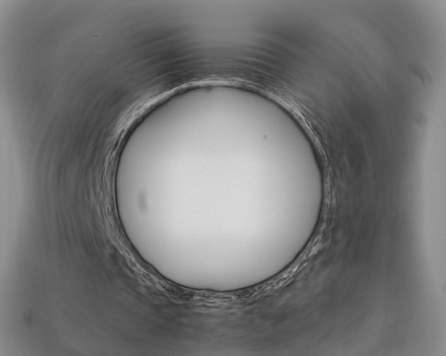 X0000113750337200909231010
