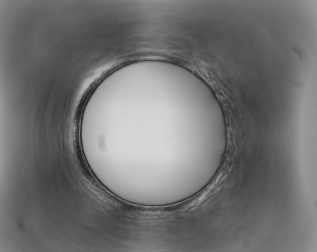 X0000113750342200909231010